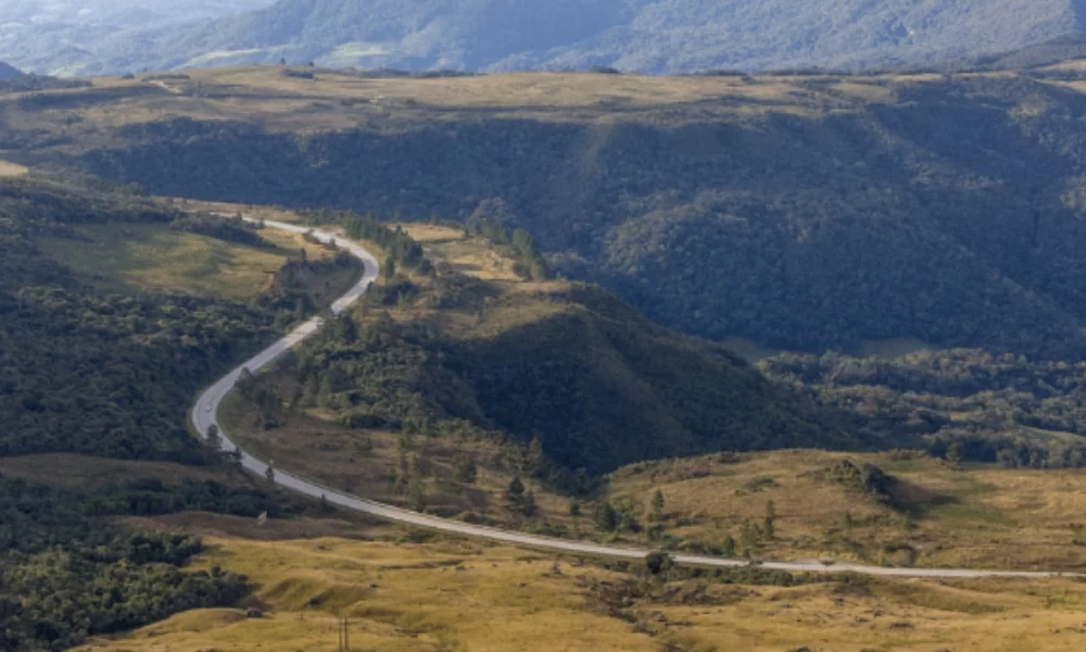 Caminhos da Colônia — foto 6