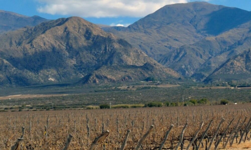Salta · Norte Argentino — foto 5