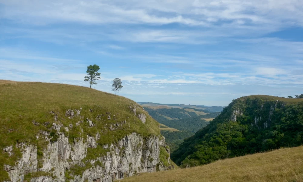 Biketour da Serra ao Mar — foto 4