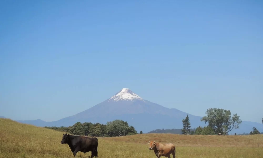 Paisagem de Lagos e Vulcões
